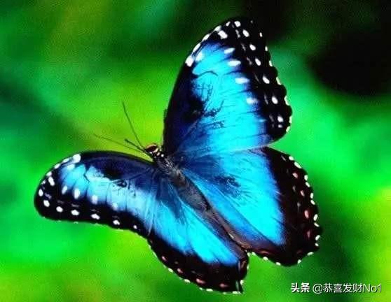 人已四十,没一份工作丶技能和收入,这辈子是否完了？