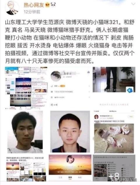 虐猫:虐待动物应该被判刑吗？山东大学生范某某虐猫事件，你怎么看？