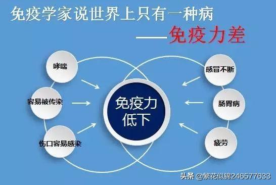 免疫力不好应该怎么提高？