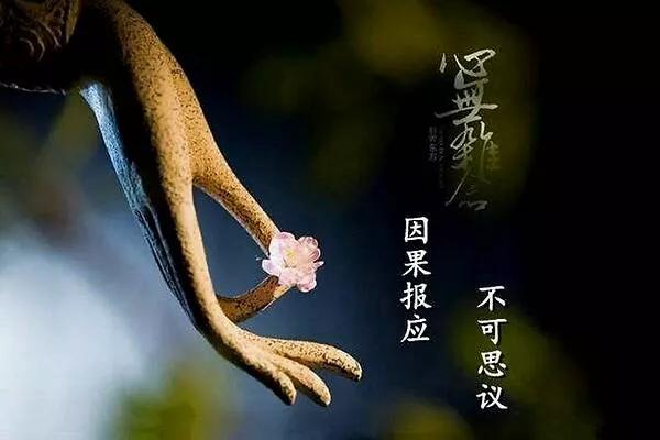 深信因果的人会不会吃亏?-网络百科