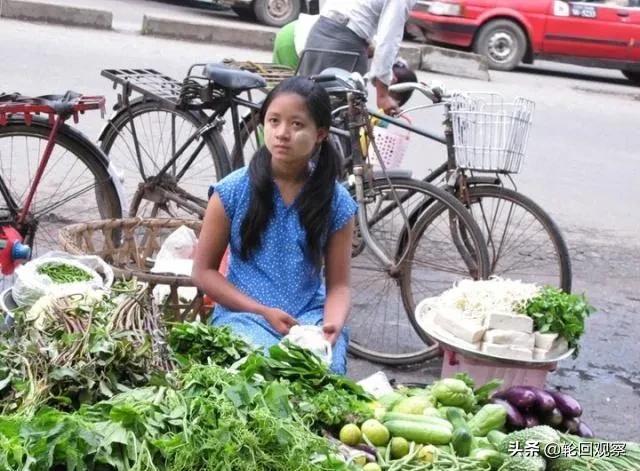 男左女右 缅甸猫:为什么要“男左女右”？为什么不能反过来呢？