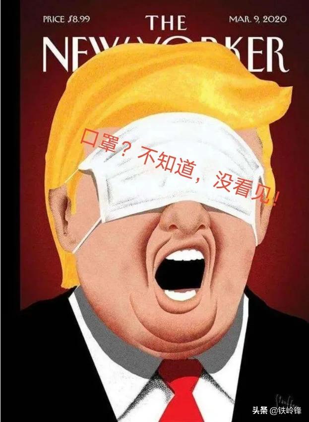 他们每天遛狗的英文:​世卫组织：90%新冠病例来自欧美。为什么他们还每天遛狗？