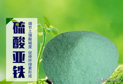 植物必需的营养元素:果树生长发育不可或缺的营养物质有哪些？
