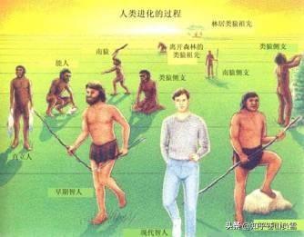 人种是如何形成的,区域范围内人种差异会有多大？