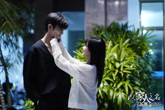 以家人之名原著结局:开播8.6结局跌至7.0，《以家人之名》败在了何处