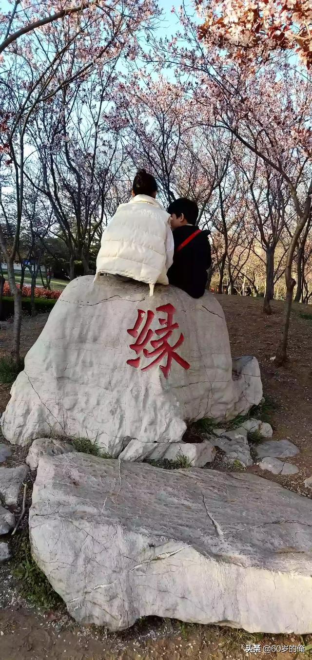 看懂了人情世故,却不会为人处事。活得太明白咋办？