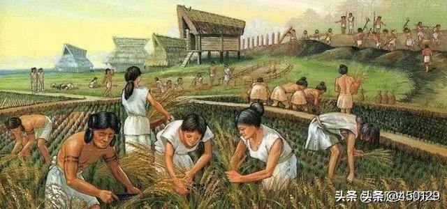 阿希实验:如何认识和看待从众行为的经典实验研究？