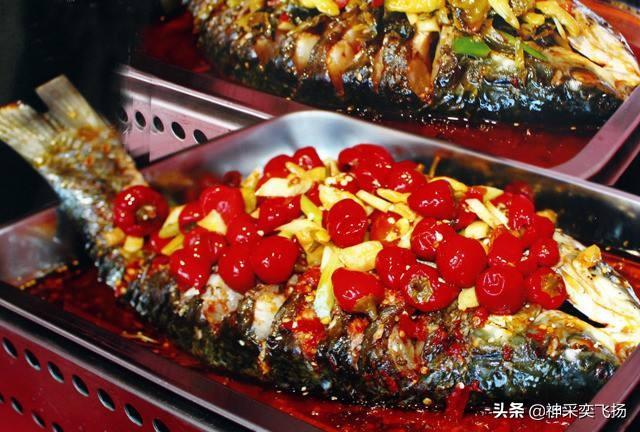 淡水鱼种类以及图片:你钓鱼最喜欢钓什么样的淡水鱼？