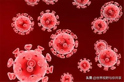 h7n9动物死亡率:人类历史上死亡人数最多的病毒有哪些（排名）？