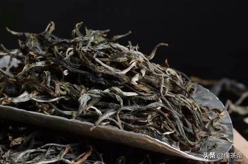 煎茶和绿茶的区别,普洱生茶的加工工艺与绿茶有何不同？