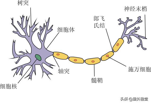 巫术咒语:祝由术（巫术）符咒语是怎么回事？