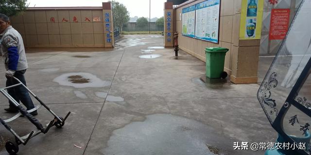 正常新坟几年长草,什么东西能让地里几年不长庄稼？