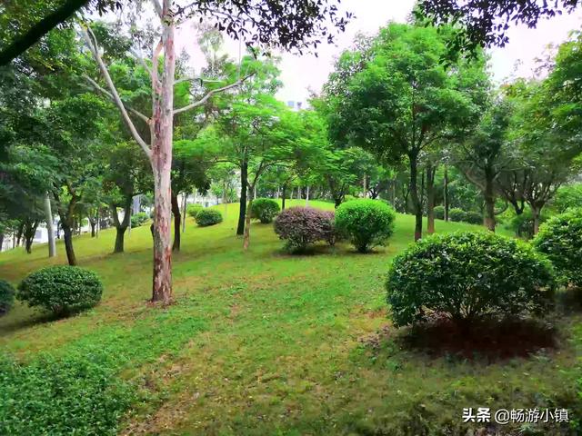 非师范生非对应专业考高中历史资格证难吗？本科学风景园林，想考证。爱好历史？:园林高中 第7张