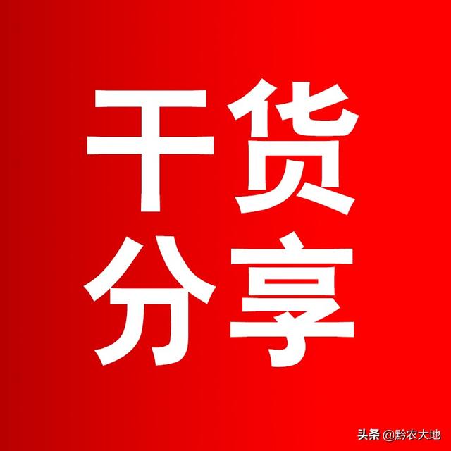 万界微信<a href=https://maguai.com/list/269-0-0.html target=_blank class=infotextkey>红包群</a>未删减版:现在做今日头条，还晚吗？