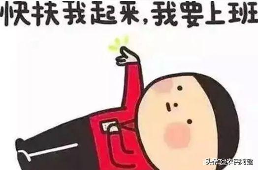 野生大熊猫误入水电站落水:如果疫情持续三个月，不上班该怎么办？