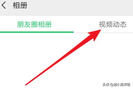 微信怎么找不到视频动态，微信视频动态在哪