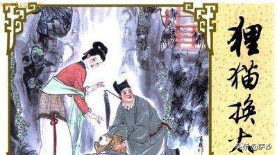 福康公主真实历史:历史上是否真有“狸猫换太子”？