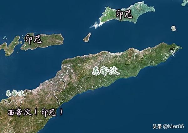 侏儒眼镜猴在印尼重现:侏儒眼镜猴又出现了吗 玳瑁，究竟是个什么东西？