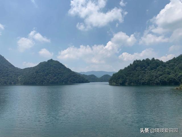 庚子年的灾难:今年灾难接二连三到来，美国卫星找到答案，是不是真的