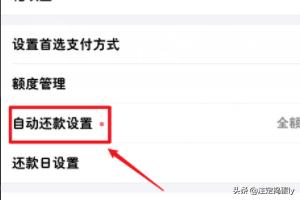 花呗自动还款怎么设置,如何设置支付宝自动还款？