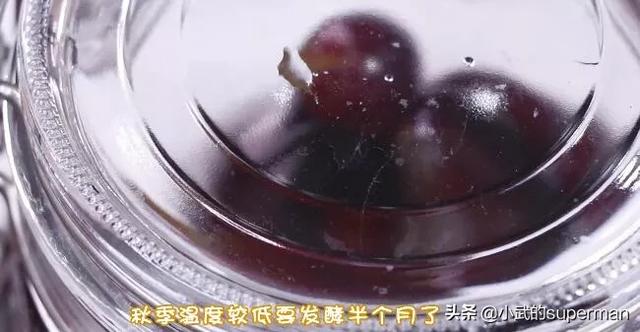 红酒制作过程，你们制作葡萄酒的程序是什么呢