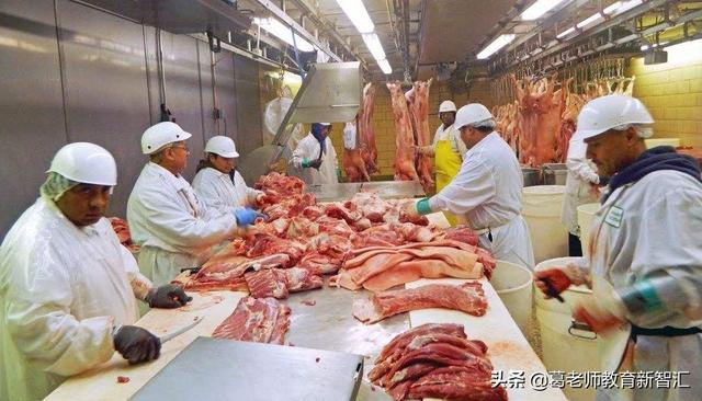 恐怖组织活人分尸，如何看待纽约超市，猪肉中检测出人肉组织