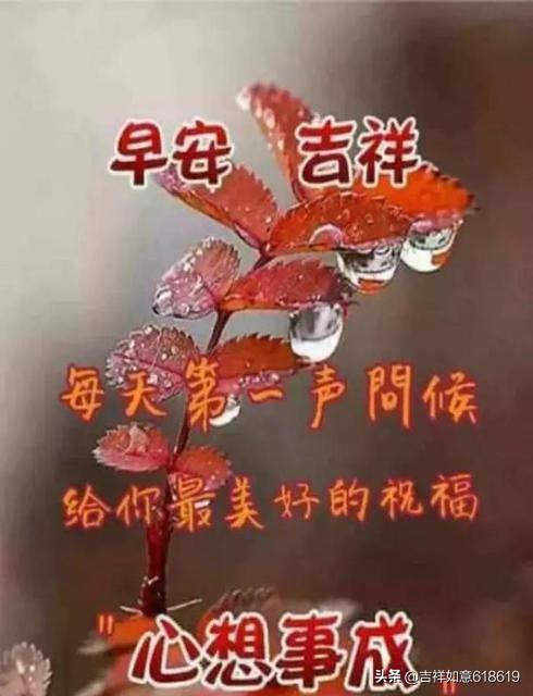 微信天天收到各种亲友早安的图片和群发消息？你们喜欢吗？