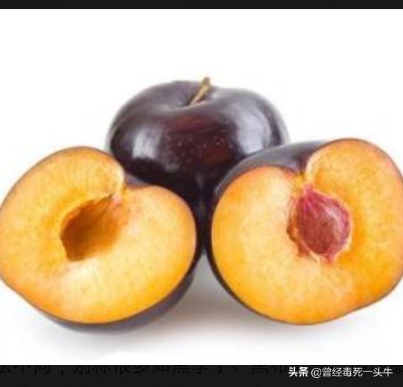 我想学剪辑视频不知道该去哪里？网上的回答都不是太全面,有谁能告诉我吗？