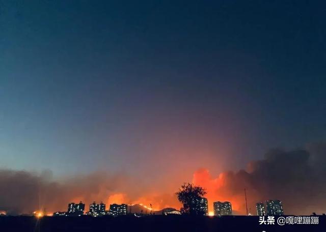 韩国发生森林大火:西海岸大火怎么着起来的？