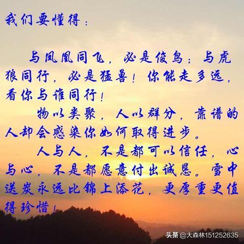 如何理解“物以类聚人以群分”这句话？