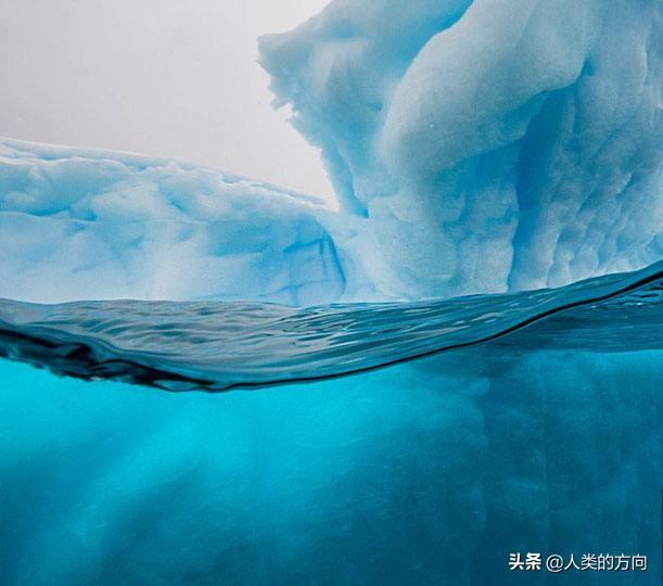 巨型萨凡纳猫:深海中有可能存在比鲸鱼更大的超巨型生物吗？