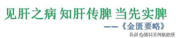 肝是什么意思,见肝之病知肝传脾是指什么意思？