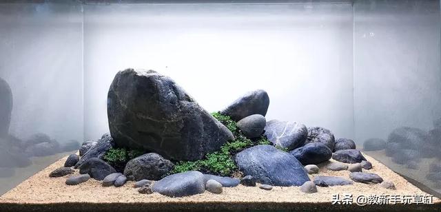 水草造景:鱼缸造景，水草寿命大约是多久？