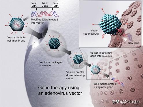 体细胞治疗:能彻底治愈癌症的基因编辑技术，是否会改写人类未来？