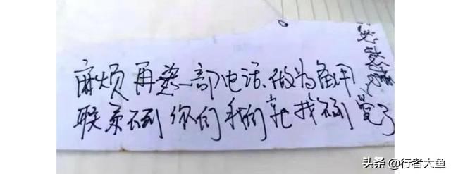 搜救犬阿虎:搜救犬阿虎的片头曲 三只比特犬和一只孟加拉虎关在一个笼子里，会有什么样的结果？