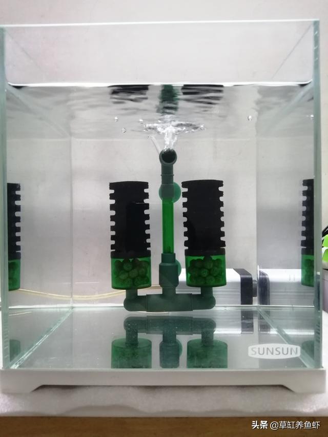 过滤器水妖精怎么用:用一个三合一水妖精和一个鱼缸就能养鱼吗？