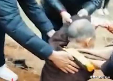 曝林志炫身体出状况:如何看待湖南独居老人野地挖洞，缩坛等死这一现象