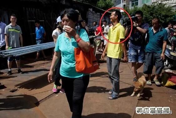 哦放上珠海宠物网度稳爱狗人士:一些爱狗人士是否很幼稚？