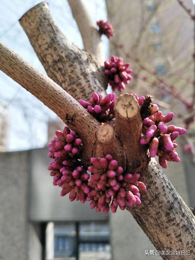 中秋假期民众如何安全出行，今年国庆中秋放假你还敢畅快的出去玩吗