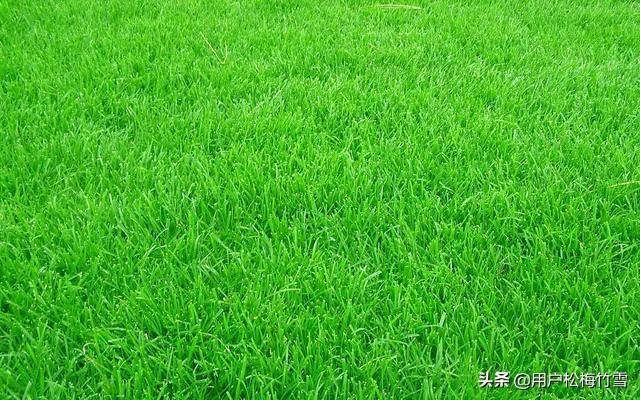 “老实人,一旦动怒,很可怕,千万别惹怒老实人”,你怎么看？