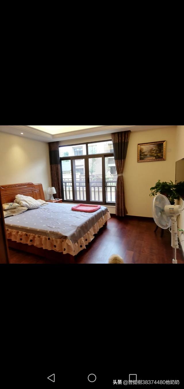 养狗之后，家里为什么会那么臭？插图24