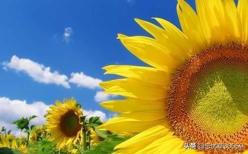不想让人知道生日,该怎么发朋友圈？