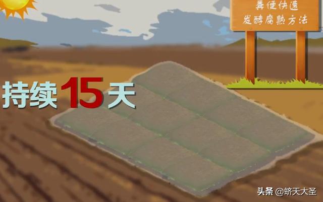 福氏耐格里变形虫:“中国年”的文化内涵是什么