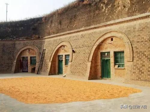 张奕民:庆阳的董志塬是个什么地方
