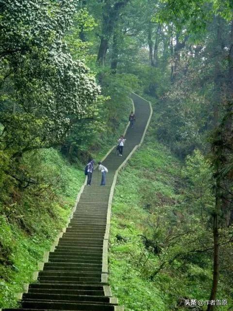 乐山大佛显灵:乐山大佛怎么玩省心？省时？省费用？