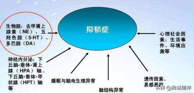 《介助犬的遗言》:“带着女儿自杀”，抑郁症再度惹热议，如何解决？