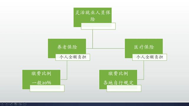趸交,有哪个省养老金可以趸交？