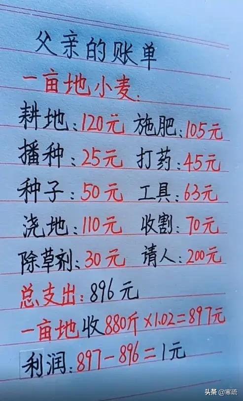 在农村,5亩地种什么能净赚十几万？