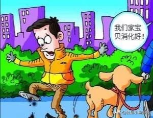 宠物志愿百度网盘:今年可能会有一半初中生进不了高中，他们该怎么办？