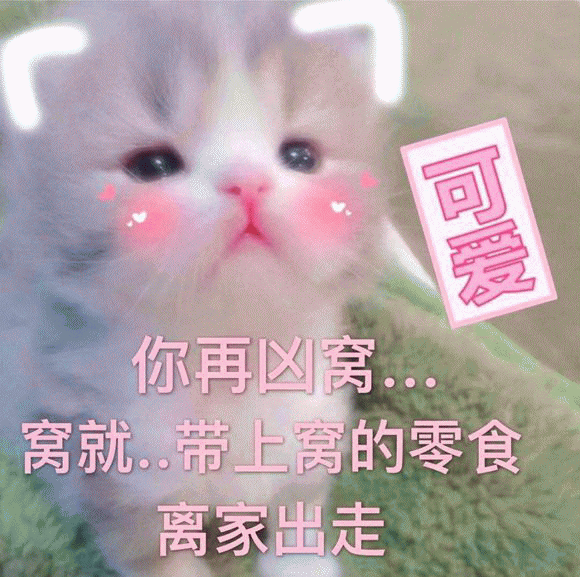 看见公猫端母猫:公猫养大之后，真的因为去寻找母猫而再也不回家嘛？